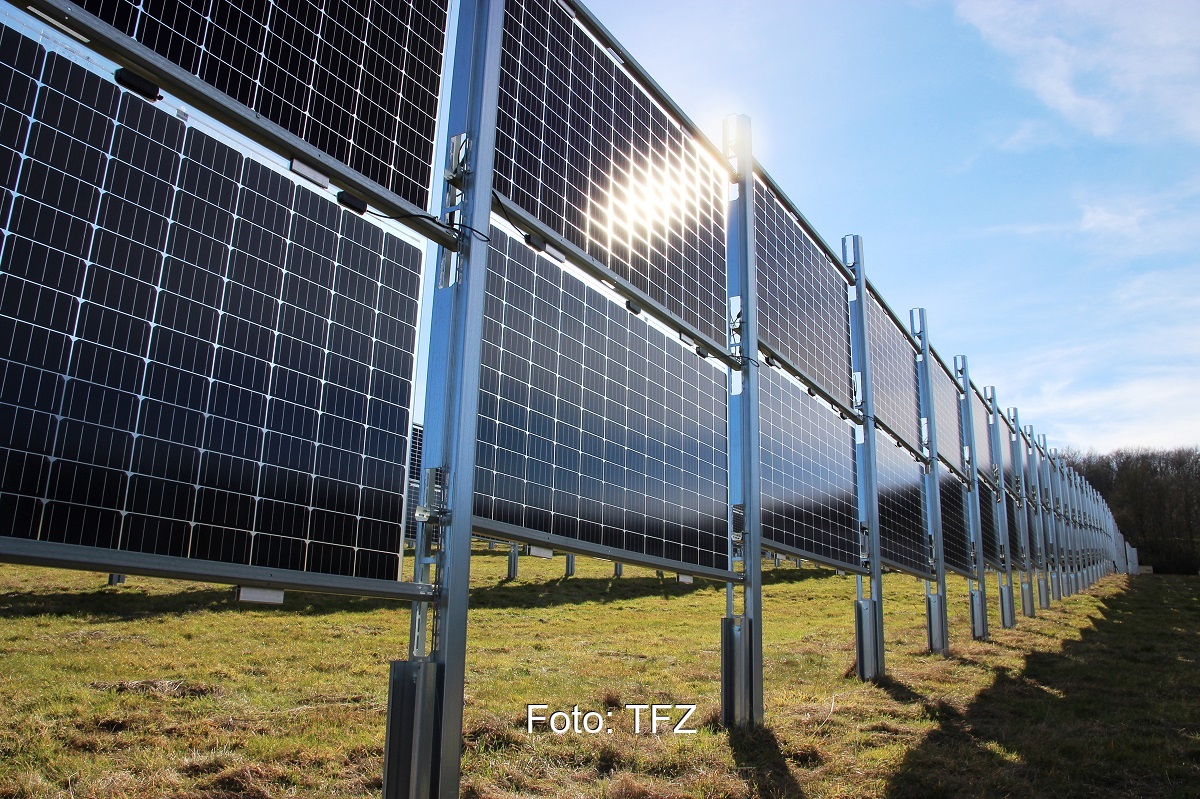 Zu sehen sind vertikale aufgeständerte Module, eine der untersuchen Bauformen in der Studie des TFZ zur Agri-Photovoltaik.