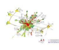 Die Grafik zeigt einen Algorithmus, der wie ein Käfer die möglichen chemischen Optionen von Molekülen für Solarzellen absucht.