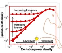 Zu sehen ist ein zweidimensionales Diagramm in Form eines Perowskit-Pferdes, das helfen soll, die Photophysik der Perowskit-Photovoltaik besser zu verstehen.