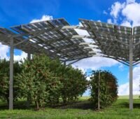 Im Bild Artemis, eines der neuen Photovoltaik-Montagesysteme von T.Werk.