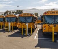 Typische amerikanische Schulbusse in gelb an Ladesäulen, Vehicle-to-Grid-System in Kalifornien gestartet.