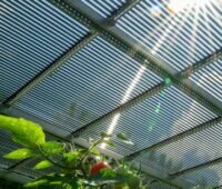 Die Photovoltaik-Röhrenmodule von Tubesolar über einem Tomatenfeld sind eine typische Agri-Photovoltaik-Anwendung.