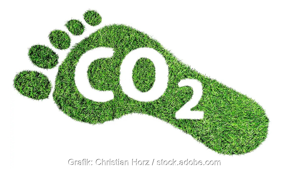 Ein grüner Fußabdruck in Rasenform mit der Aufschrift CO2 , Deutschland reduziert seine Emissionszertifikate.