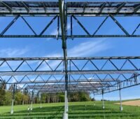 Die Arbeitsgruppe Begleitforschung Agri-Photovoltaik fordert eine bessere Förderung von Agri-PV-Anlagen mit hoch aufgeständerten PV-Modulen.