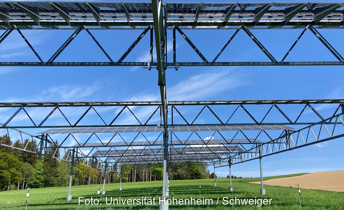 Die Arbeitsgruppe Begleitforschung Agri-Photovoltaik fordert eine bessere Förderung von Agri-PV-Anlagen mit hoch aufgeständerten PV-Modulen.