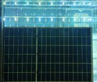 Aufrecht stehendes Solarmodul, das rückwärtig von UV-Licht bestrahlt wird.