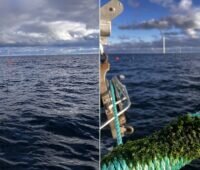 Im Bild ein Foto des Offshore-Windpark Kriegers Flak und ein Foto von der Algenaussaat für die Algenzucht.