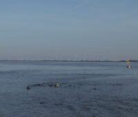 Im Vordergrund im Eidersperrwerk an der Nordsee. Im Hintergrund schememhaft Windkraftanlagen