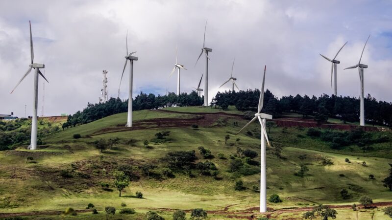 Windpark in Kenia, Symbol für Energiewende und Energieerzeugung in Afrika