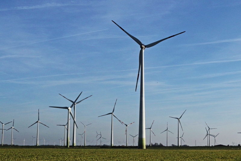 Bis zum Horizont Windenergieanlagen an der Westküste Schleswig-Holsteins