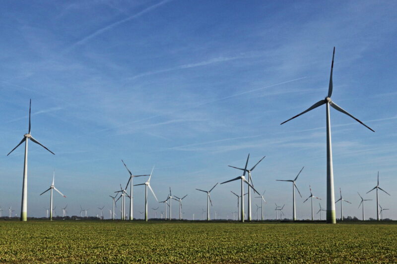 Windenergieanlagen auf flachem Terrain bis zum Horizont unter blauem Himmel.