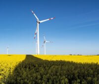 Windpark in einem Rapsfeld - im Vordergrund der Schatten des Turms einer Windenergieanlage