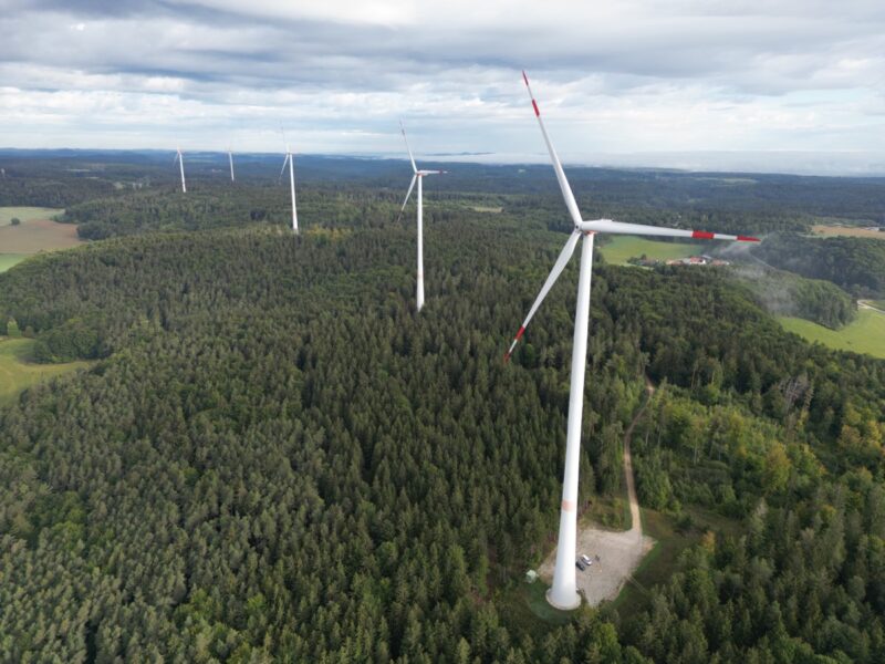 Windanlagen in einem Waldstück