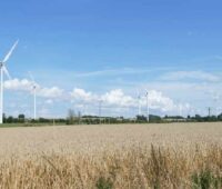 Windkraftanlagen hinter einem Kornfeld.