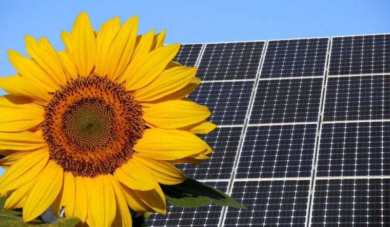 In seinem Zweijahresgutachten stellt der Expertenrat für Klimafragen fest, dass der Aufbau von Photovoltaik und Windenergie, Wärmepumpen oder der Elektromobilität nicht ausreicht.