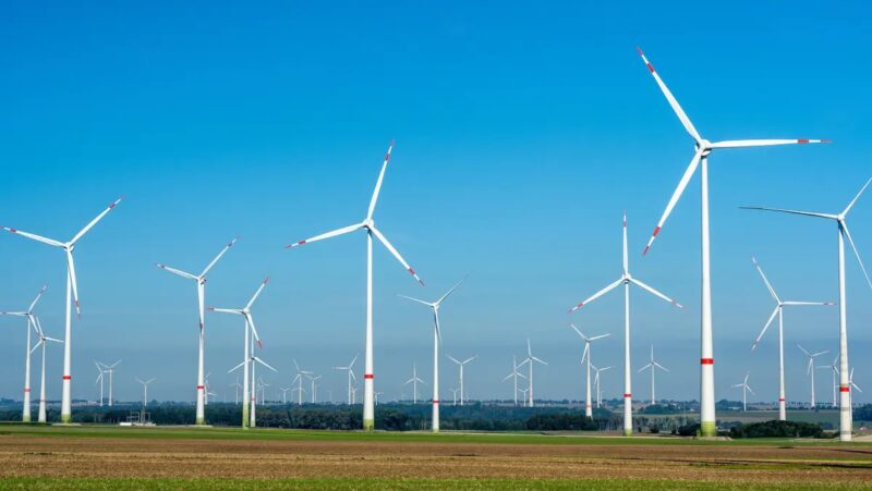 Eine Vielzahl von Windenergieanlagen, die November-Ausschreibung Wind an Land war überzeichnet.