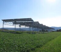 Agriphotovoltaik-Pilotanlage auf dem Gelände der Demeter-Hofgemeinschaft in Heggelbach