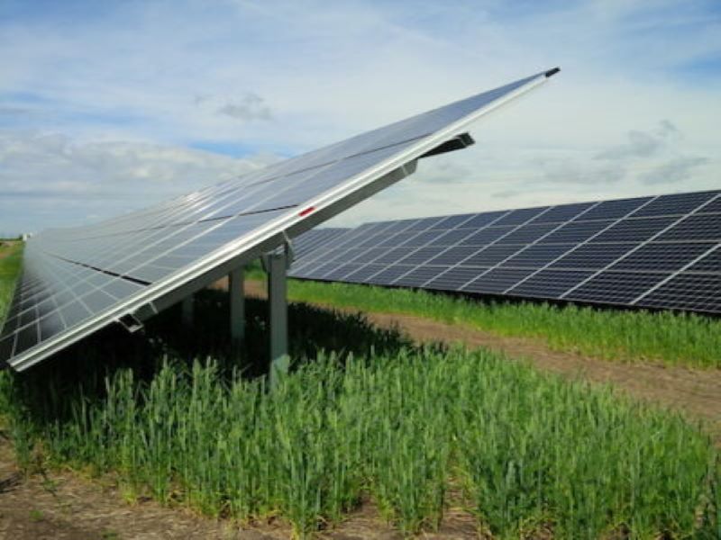 Blick auf Solarpaneele auf grüner Wiese.