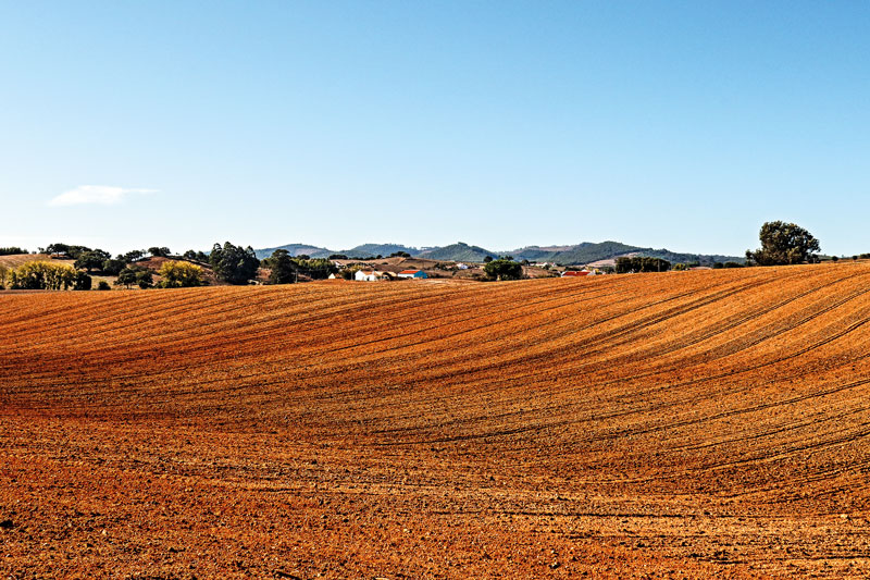 Hügelige Agrar-Landschaft in Portugal