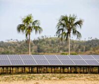 Eine PV-Anlage vor Palmen.