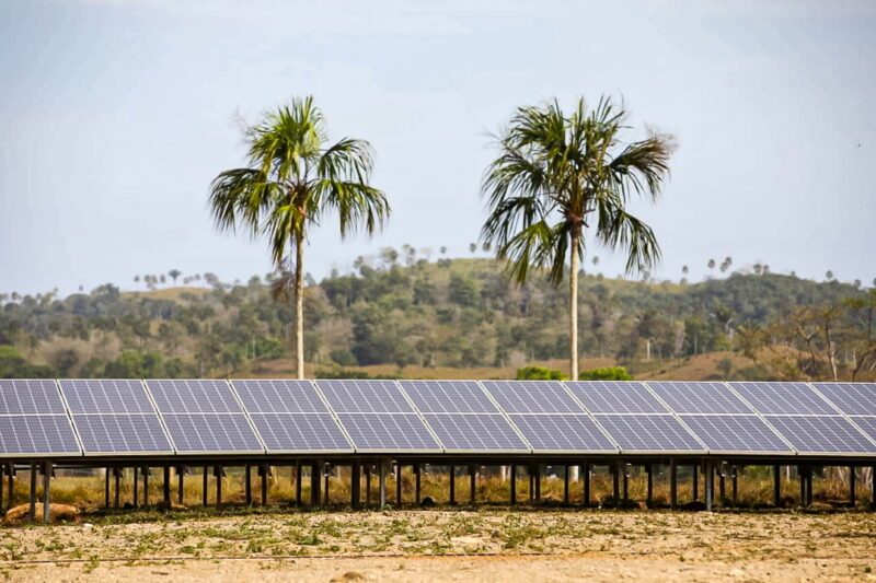 Eine PV-Anlage vor Palmen.