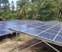 Aufgeständerte Solaranlagen vor grüner Blätterwand.