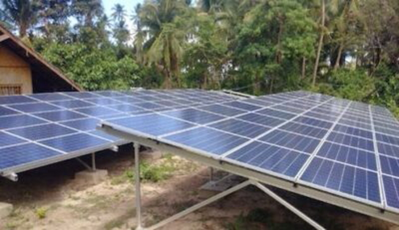 Aufgeständerte Solaranlagen vor grüner Blätterwand.