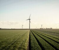 Rechts und links verschiedene grüne Ackerflächen mit einem Windpark im Hintergrund.