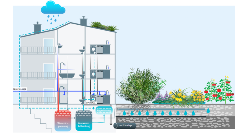 Schematische Darstellung eines Wohngebäudes im Querschnitt: Duschgrauwasser wird zur Wärmerückgewinnung und Wiederverwendung aufbereitet. Regenwasser gelangt in bepflanzte Bodenfilter.