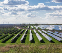 Photovoltaikmodule auf grüner Wiese im flachen Terrain und mit Windenergieanlagen im Hintergrund.