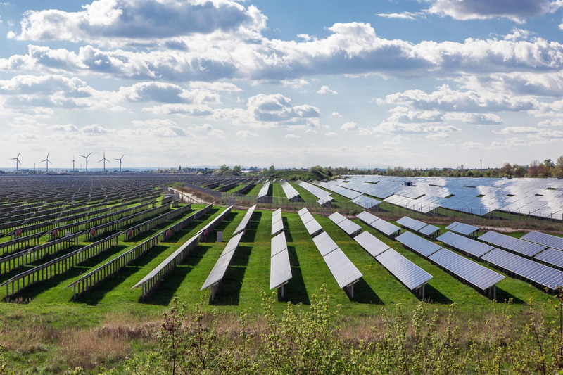 Photovoltaikmodule auf grüner Wiese im flachen Terrain und mit Windenergieanlagen im Hintergrund.