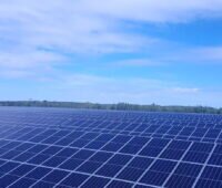 Ein Solarpark mit Bäumen und blauem Himmel.