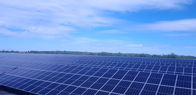 Ein Solarpark mit Bäumen und blauem Himmel.