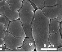 Im Bild eine Aufnahme der Lithium-Metall-Folien-Anode im Mikrometermaßstab, einer Schlüsselkomponente für die Lithium-Schwefel-Batterien von Theion.